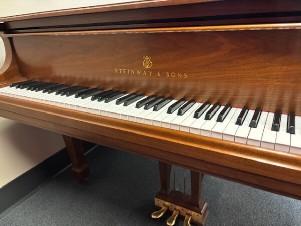 Steinway Grand