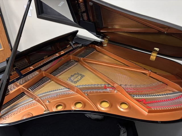Yamaha DGC2E3S - Image 3