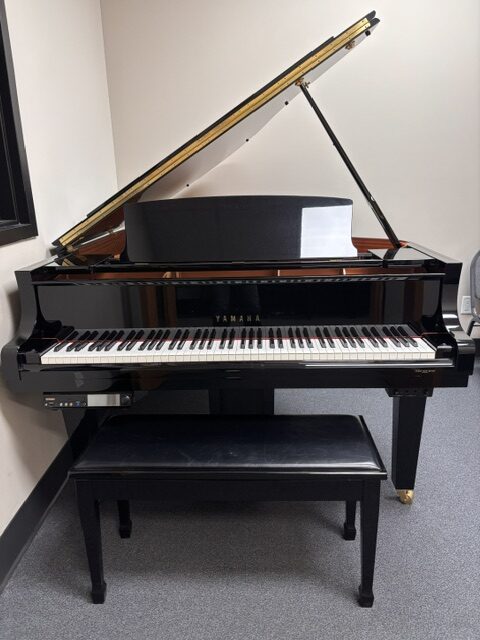 Yamaha DGC2E3S