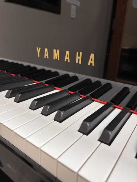 Yamaha DGC2E3S - Image 2